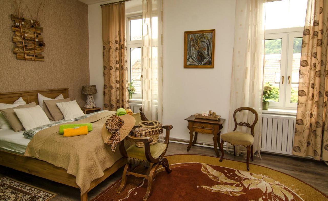 Trubarjev Art Boutique Hotel ラーシュコ エクステリア 写真